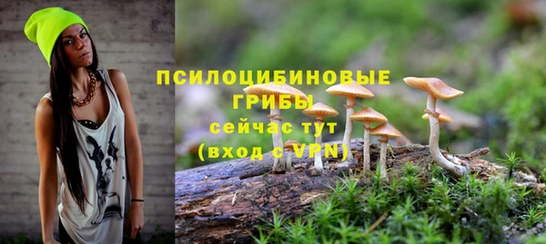стафф Абдулино