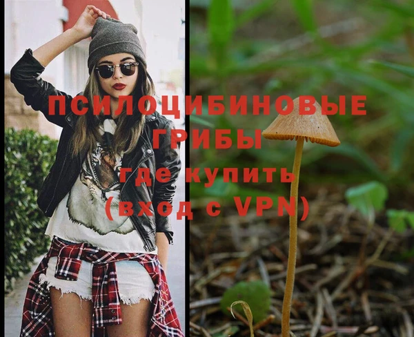 PSILOCYBIN Абинск