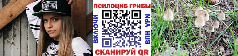 Псилоцибиновые грибы GOLDEN TEACHER  купить   Ивантеевка 