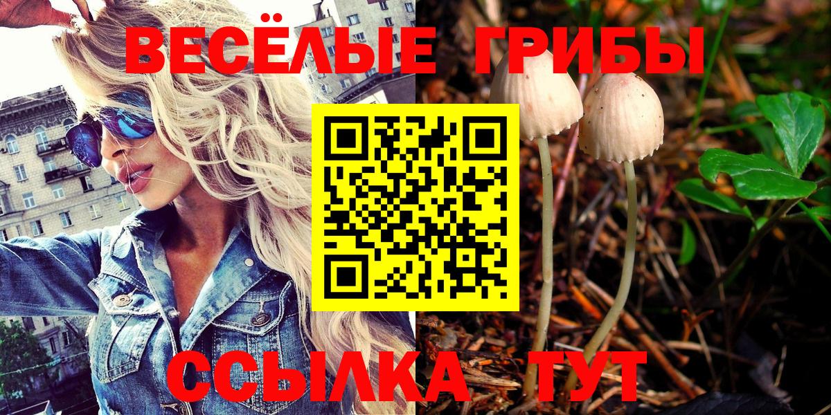 Галлюциногенные грибы GOLDEN TEACHER Ивантеевка